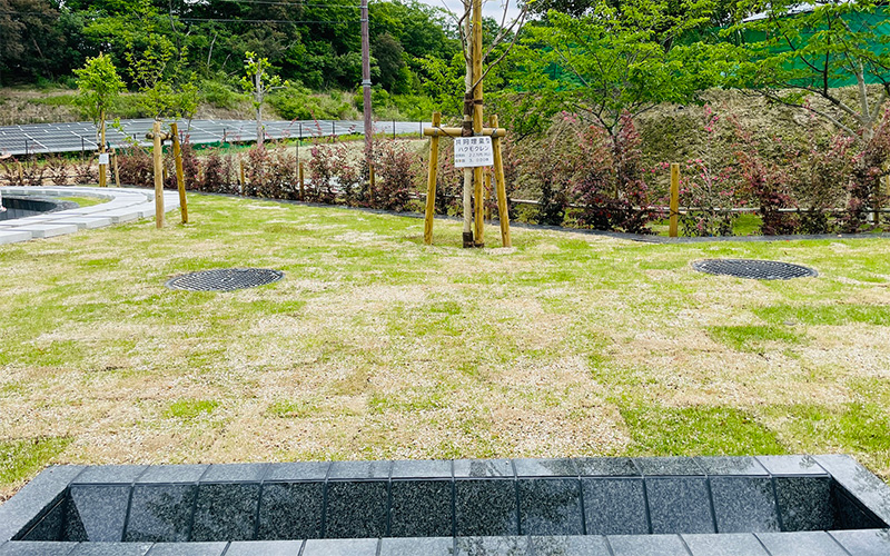尼崎市営の樹木葬