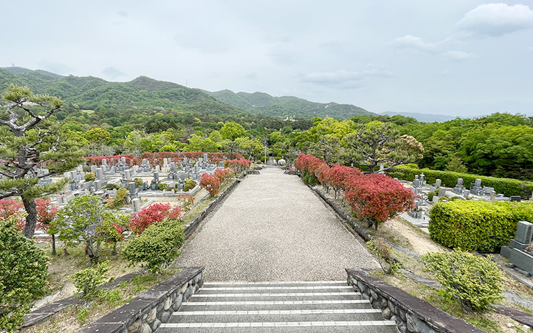 甲山墓園の墓地内の写真 2025.5.9撮影