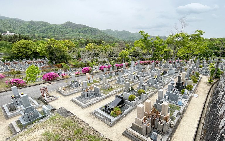 甲山墓園の墓地内の写真 2025.5.9撮影