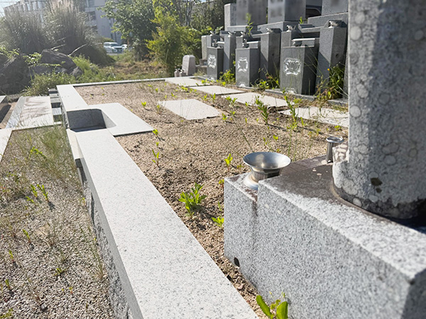 三田市の下井沢墓地で草の生えにくい墓地改修