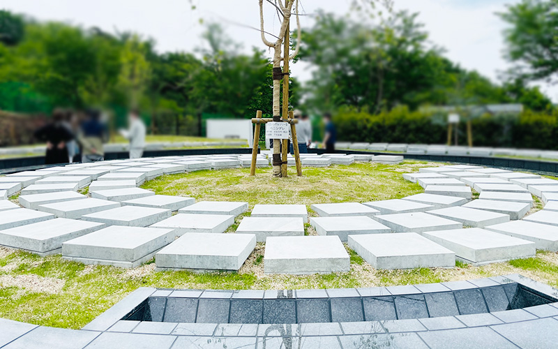 樹木葬式墓所 大型シンボルツリー型の現地写真